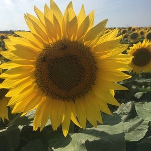 Meet your Posher, Kerrylyn